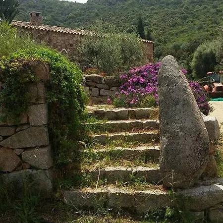 Stazzu Martina