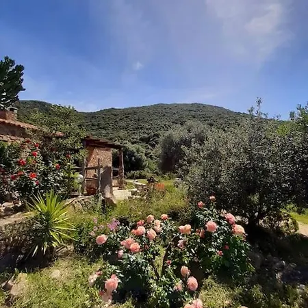 Stazzu Martina * Trinità dʼAgultu