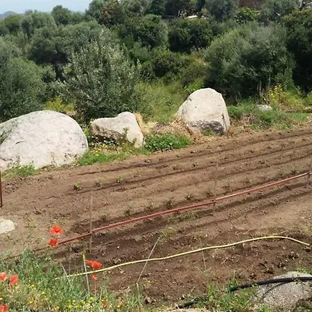 Stazzu Martina * Trinità dʼAgultu