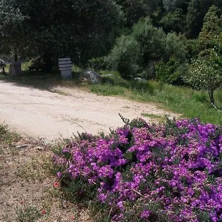 Stazzu Martina Holiday home