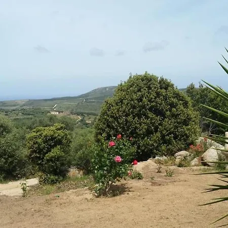 Stazzu Martina Holiday home *