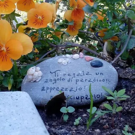 Stazzu Martina * Trinità dʼAgultu
