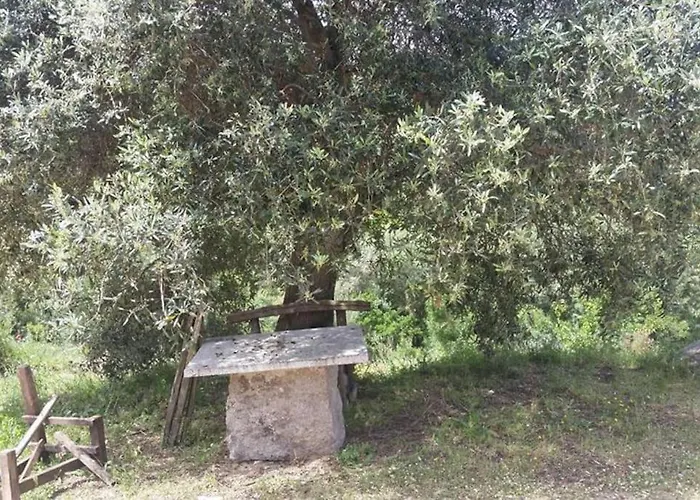 Stazzu Martina Tatil Evi *